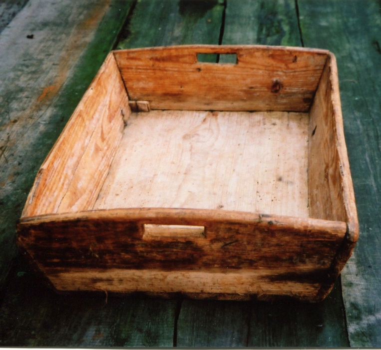 Сейница, начало XX в. Кага, 1999 г.