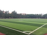 china (2)