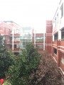 china8