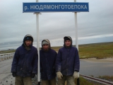 Стройотряды