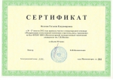 Сертификат Козловой Т.В.
