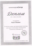 Диплом Петровой М.