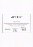 Сертификат Кошелевой А.