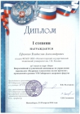 Диплом Ефимкина В.