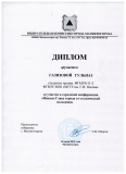 Диплом Газизовой Г.