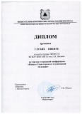 Диплом Глухих Н.