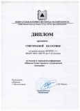 Диплом Григорьевой Е.