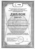 Диплом Лимарев П.В.