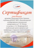 Николаева Е.С. Омск 2014
