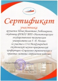Шпак В.Л. Омск 2014