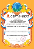 Ибрагимов А.М., Ибрагимова О.В.