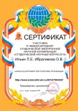 Ильин П.Е., Ибрагимова О.В.
