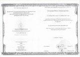 Копылова О.А.