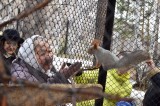 Университет третьего возраста