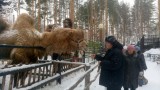 Университет третьего возраста