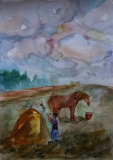 Шабанова Екатерина, 14 лет. Запасы сена